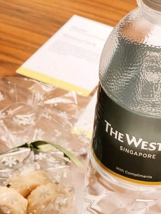  🇸🇬 The Westin Singapore