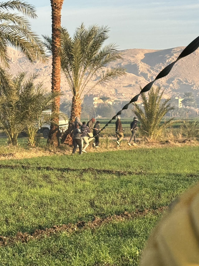 Dawn Raid: Balloons Over Pharaoh’s Bones