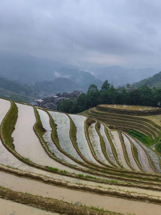China’s Mountain Masterpiece: The Longji Rice Terraces