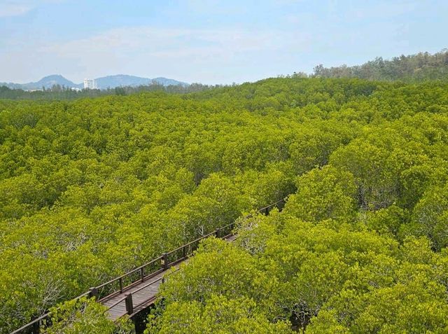 ✨"วันนี้มาชาร์จใจที่... วนอุทยานปราณบุรี 🌳