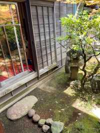 柴又-山本亭 與歷史建築對話