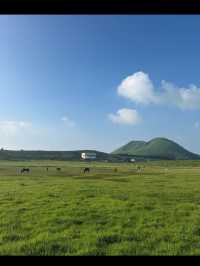 【大観峰】阿蘇五岳を一望！心が広がる絶景パノラマスポット🌄💨 阿蘇エリアの中でも特に人気の絶景スポット「大観峰」。 
