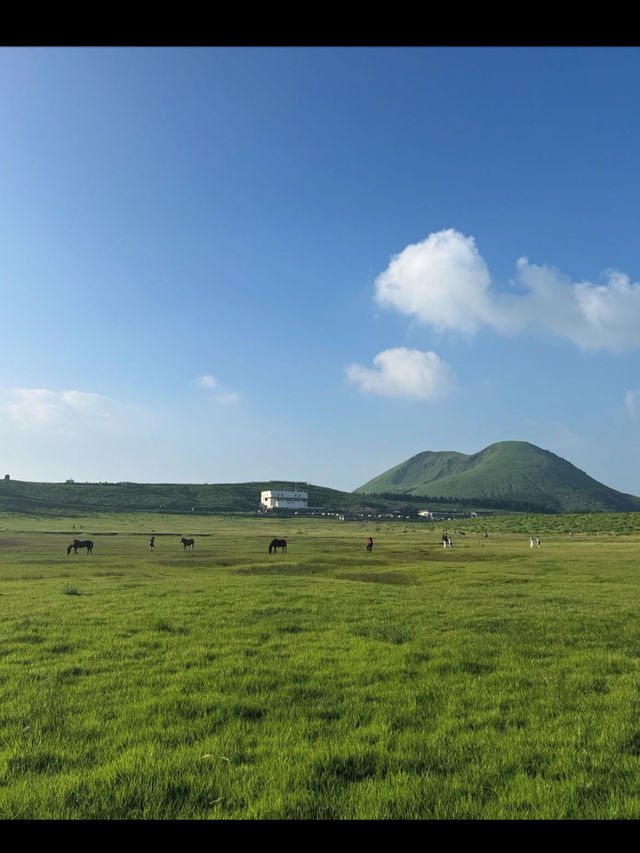 【大観峰】阿蘇五岳を一望！心が広がる絶景パノラマスポット🌄💨 阿蘇エリアの中でも特に人気の絶景スポット「大観峰」。 