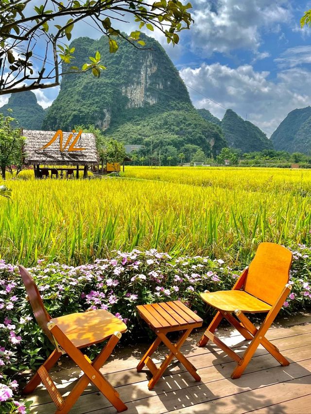 Guangxi Awaits: Rivers, Peaks, and Timeless Traditions