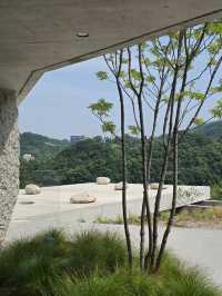 자연과 함께 호흡하는 매력 공간 🌿
