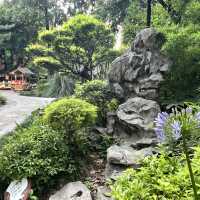 🎋 Chengdu People’s Park 成都人民公园 | A Window into Local Life
