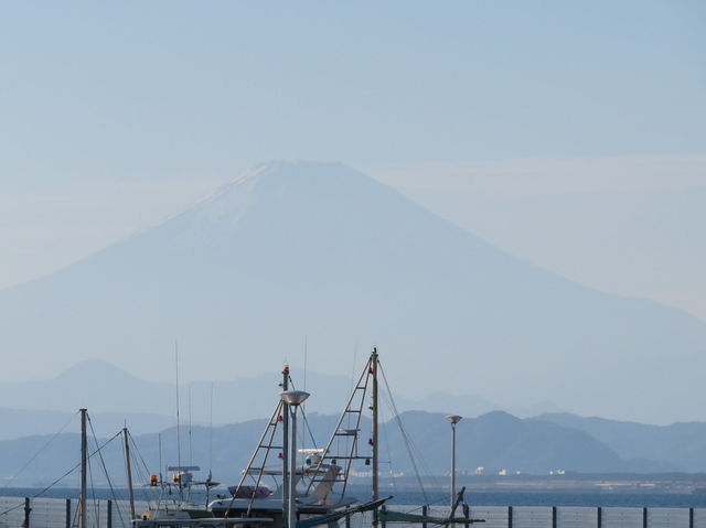 1 DAY TRIP IN KAMAKURA