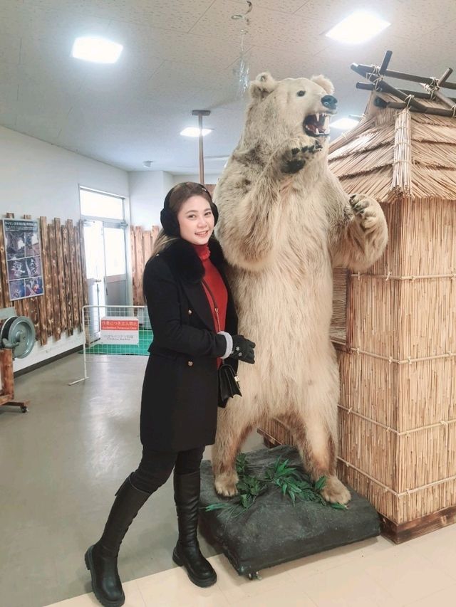 นั่งกระเช้าลอยฟ้าหาหมีน้ำตาลNoboribetsu Bear park