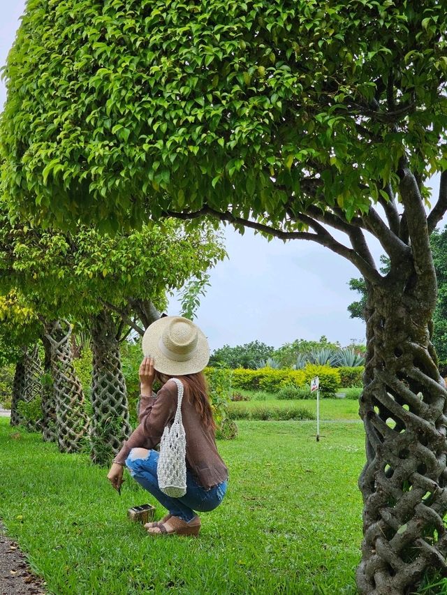 🌊海・植物・イルカ・文化がひとつに。沖縄の魅力を一日で感じる冒険へ。