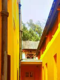 🌸 Golden Walls & Red Blossoms — A Literary Spring at Zhongshan Library