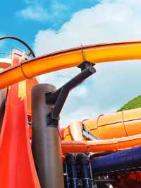 🌊 Water World at Ocean Park, Hong Kong