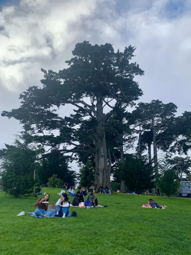 Alamo Square公園｜舊金山最受歡迎的城市綠洲！🏡