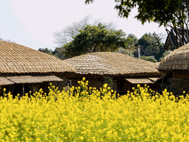 A Cultural Immersion Beyond the Tourist Path