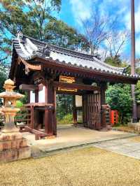 Walking Around Sumiyoshi Taisha – A Peaceful Step Back in Time