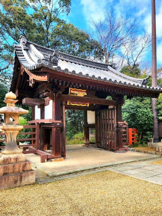 Walking Around Sumiyoshi Taisha – A Peaceful Step Back in Time