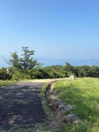 🌿【牛窓オリーブ園】“日本のエーゲ海”で過ごす、癒しと絶景のオリーブ旅