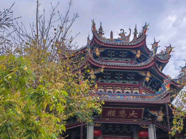 Where the Sea Breathes Zen – Xiamen’s Coastal Sanctuary of Compassion