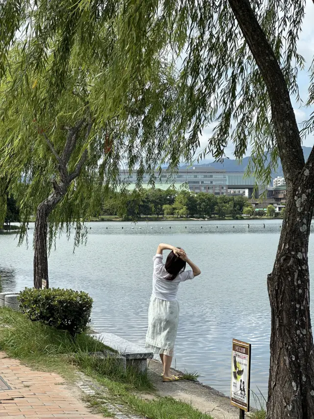 福岡必去旅遊景點，哦堀公園。