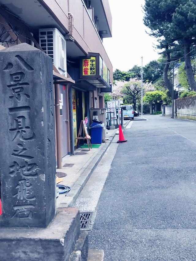 🌊金沢八景の1日、海・歴史・静寂の風景旅  🌊金沢八景の1日、海・歴史・静寂の風景旅