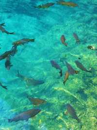 Into the Wild Waters of Xiaoqikong