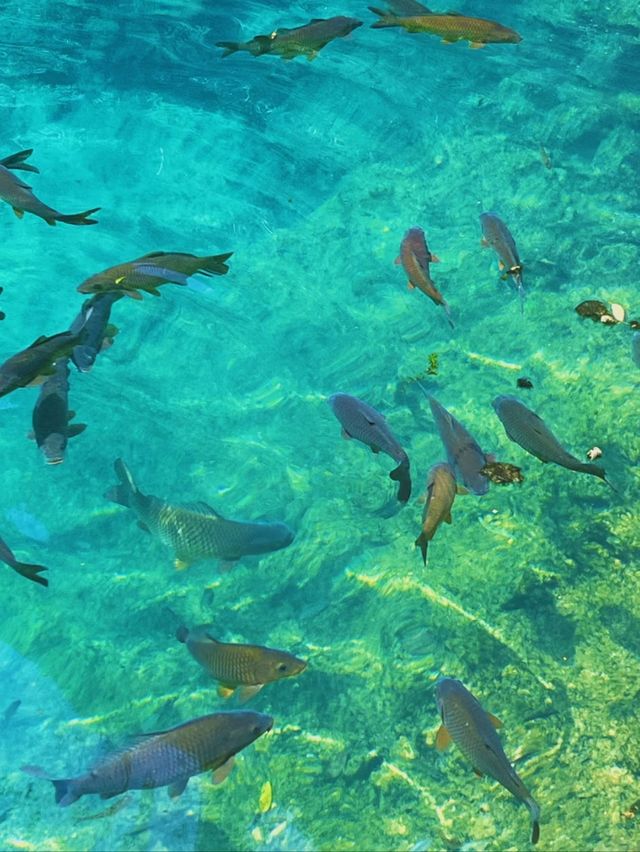 Into the Wild Waters of Xiaoqikong Into the Wild Waters of Xiaoqikong