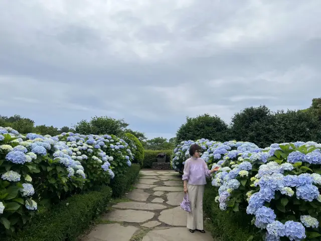 濟州島旅遊指南