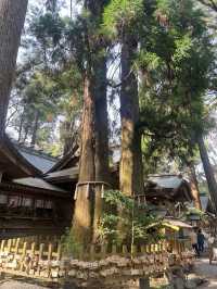 日本九州高千穗一日遊