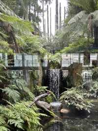 🇦🇺メルボルン博物館「First Peoples」 – オーストラリア先住民の物語に触れる場所