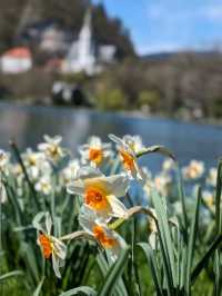 Solo Travel - Finding Solace in Lake Bled