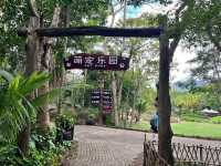 🌿 Yanoda — Hainan’s Tropical Rainforest Wonderland