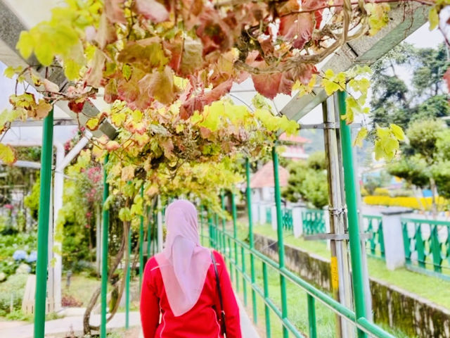 Escape to Nature’s Wonderland! 