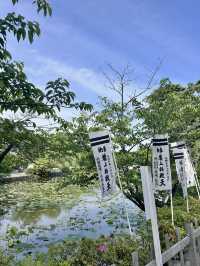🇯🇵鎌倉不只有海邊值得去✨