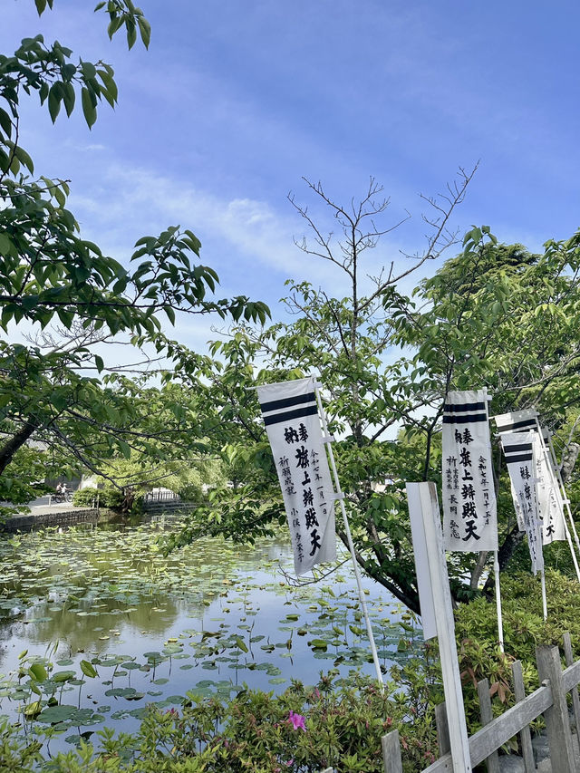 🇯🇵鎌倉不只有海邊值得去✨ 🇯🇵鎌倉不只有海邊值得去✨