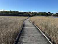 โลเคชั่นถ่ายรูปสุดปังPrincetown Wetlands Boardwalk