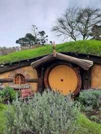 📽ตามรอยหนัง The Lord of the Rings @Hobbiton