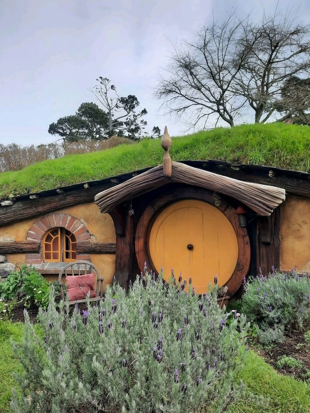 📽ตามรอยหนัง The Lord of the Rings @Hobbiton