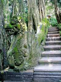 Immerse in the Jungle with Bali's Sacred Monkeys