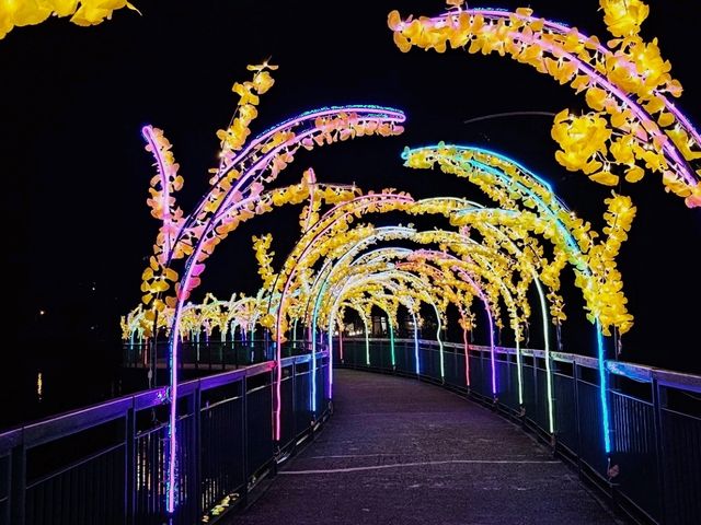 花蓮｜鯉魚潭光影美景〔仲夏水岸光影節〕