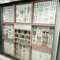 理科好きになる🦋メルボルン博物館で出会う小さな宇宙 ― 昆虫標本展示