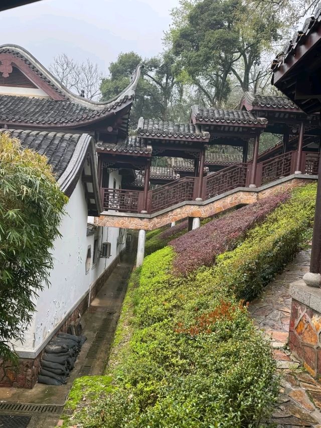 Yuelu Academy: The Millennium Cradle of Chinese Wisdom