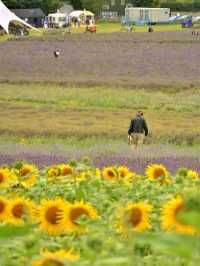 On the Road Through UK: Long Road Trip Itinerary – Hertfordshire 