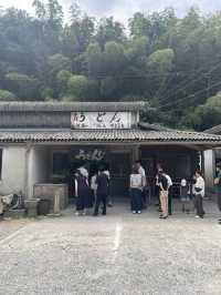 【人気旅番組に登場！？】香川の名物うどん店🍜