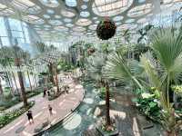 🌵【上海新地標！亞洲最大溫室花園「上海溫室花園」開放啦～沙漠雨林一次看夠，隨手一拍就是科幻大片！】🌵