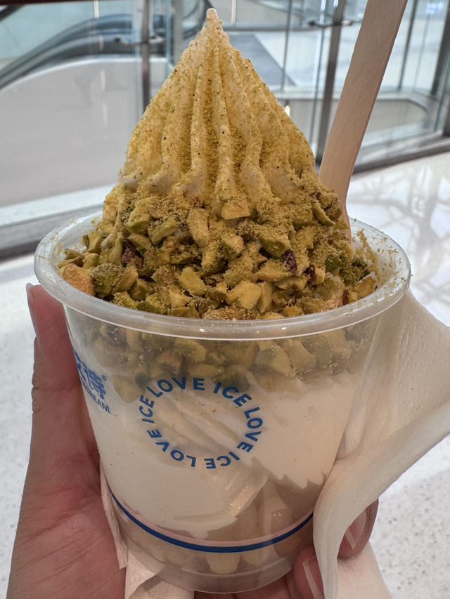 中山探索遊