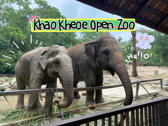 เที่ยวสวนสัตว์เปิดเขาเขียว จ.ชลบุรี 🦒🐘🦛