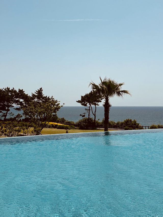 Modern Ocean Stay✨