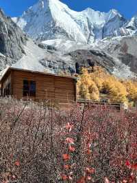 Autumn in A’ding, Daocheng – Chengdu 🍁