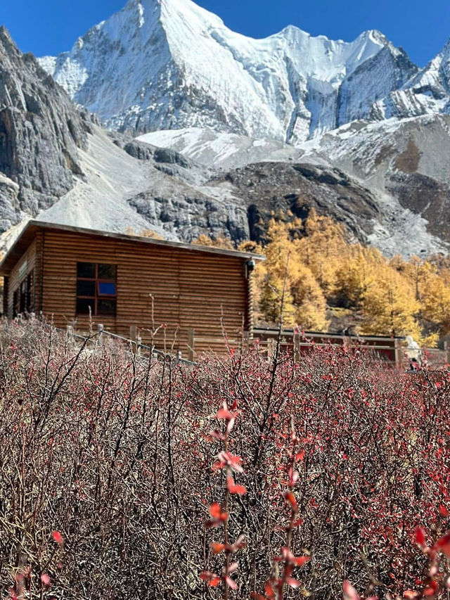 Autumn in A’ding, Daocheng – Chengdu 🍁