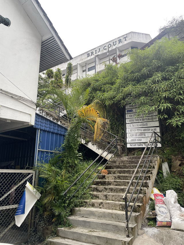 Cameron Highlands - city in the mist