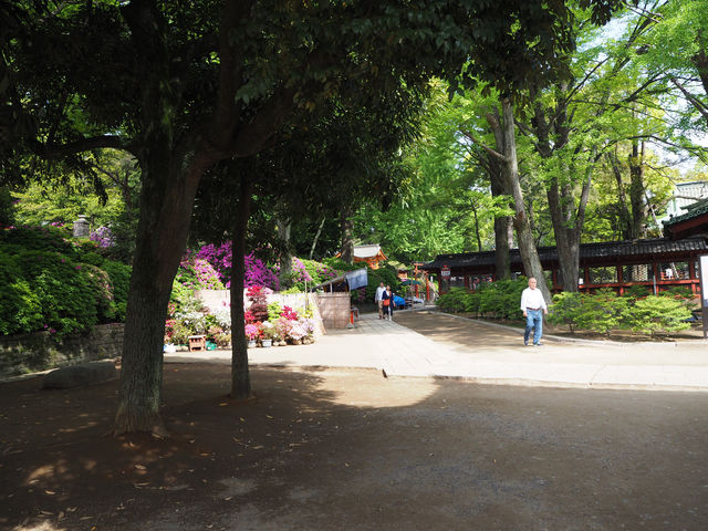Nezu Shrine: Tokyo’s Timeless Sanctuary Nezu Shrine: Tokyo’s Timeless Sanctuary
